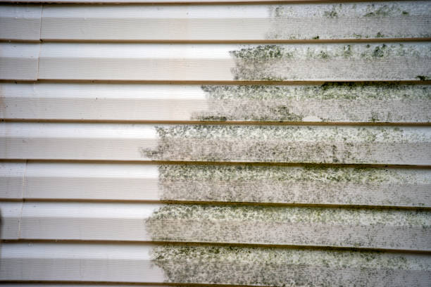 Best Engineered Wood Siding  in Sierra Vista, AZ