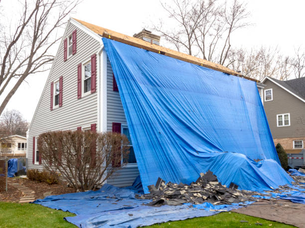Best Custom Trim and Detailing for Siding  in Sierra Vista, AZ