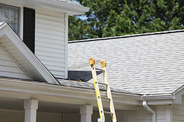 Best Siding for Commercial Buildings  in Sierra Vista, AZ